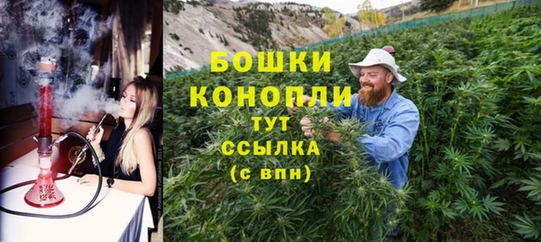 СК Богородск