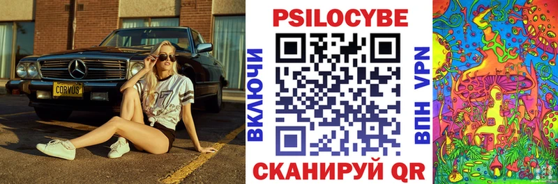 купить сайты Касли Псилоцибиновые грибы Psilocybe