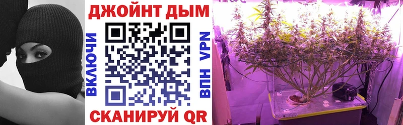 Конопля Bruce Banner  Касли 